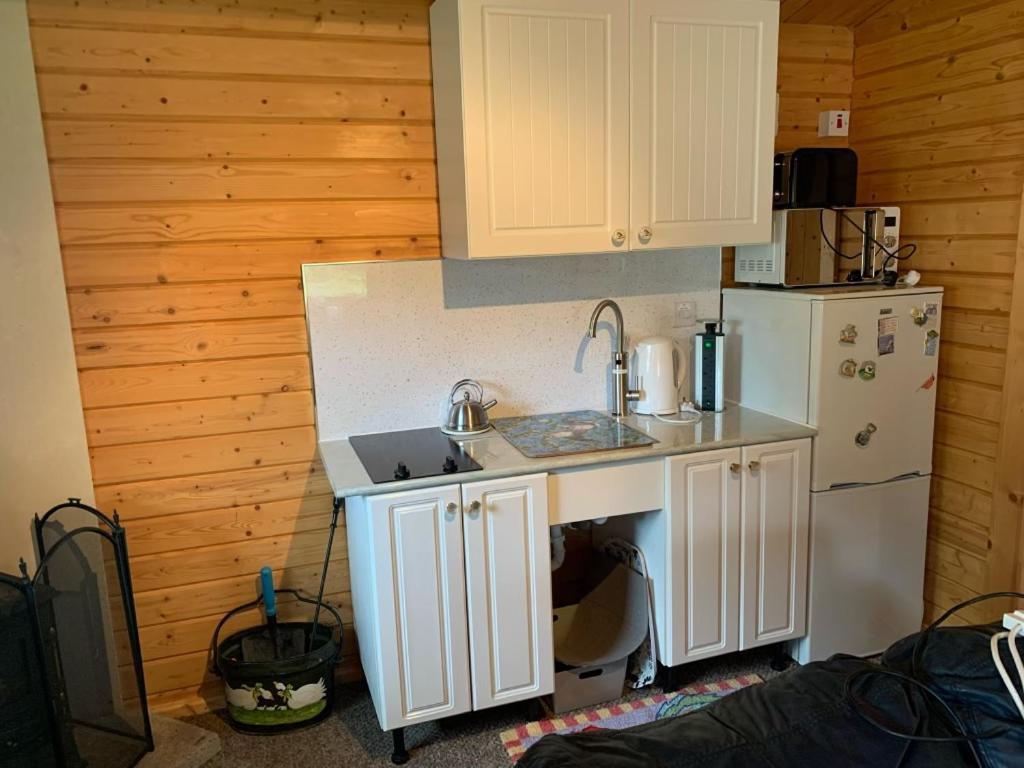 فيلا إينفيرنيسفي Cosy Countryside Cabin المظهر الخارجي الصورة